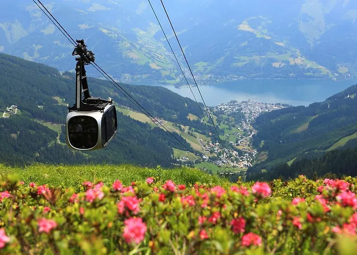 Alpenparks Zell Am *